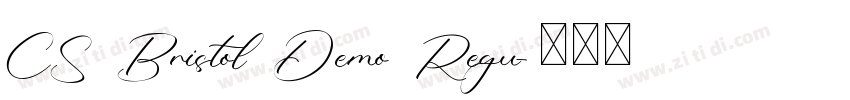 CS Bristol Demo Regu字体转换